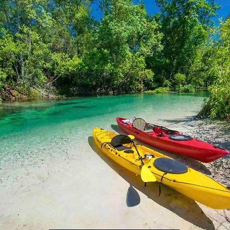 Manatee Oasis Weeki Wachee Family Fun Pool Home Spring Hill Dış mekan fotoğraf