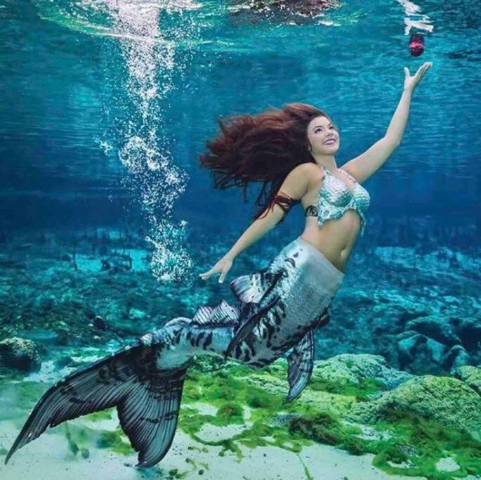 Manatee Oasis Weeki Wachee Family Fun Pool Home Spring Hill Dış mekan fotoğraf