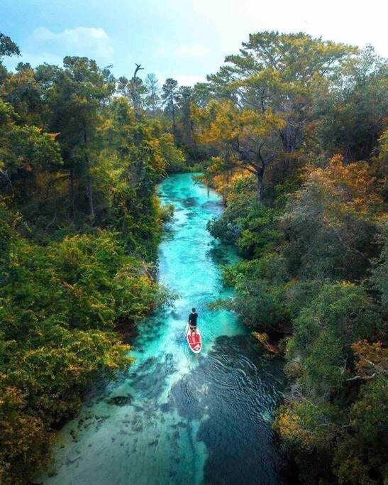 Manatee Oasis Weeki Wachee Family Fun Pool Home Spring Hill Dış mekan fotoğraf